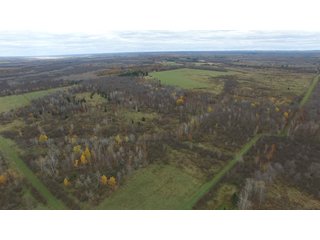 Property photo 14 - REAL ESTATE AUCTION - 1,428+/- ACRES OFFERED IN 10 TRACTS IN PRICE CO., WI